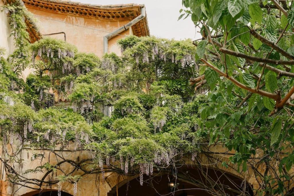 Villa Catalina Aka Villa Almanita 圣佩德罗-德里瓦斯 外观 照片